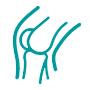 knieklachten den haag fysiotherapie icon klachten